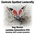 Lanternfly secondary image
